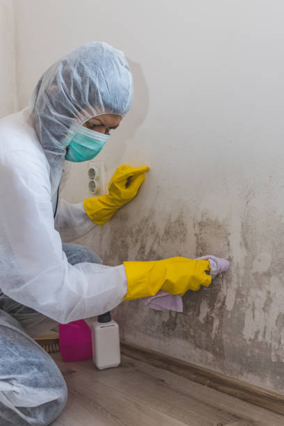 Best Biohazard Mold Removal  in Crocker, WA