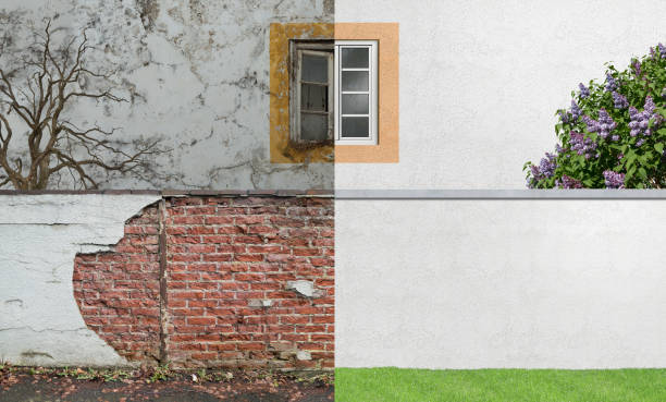 Best Mold Removal for HVAC Installations  in Crocker, WA